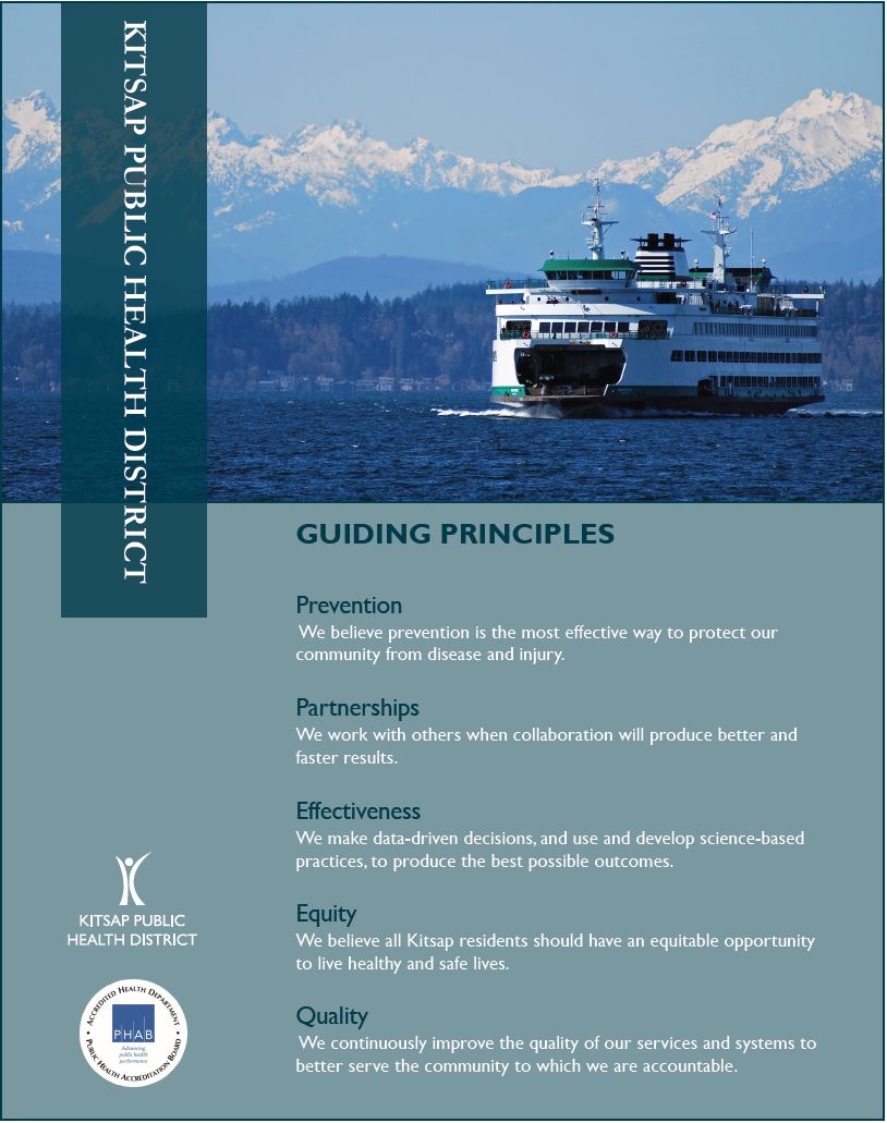 guiding principles flyer