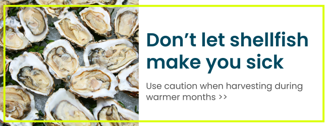 don't let shellfish make you sick: Use caution when harvesting during warmer month