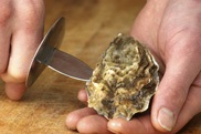 knife opening shellfish